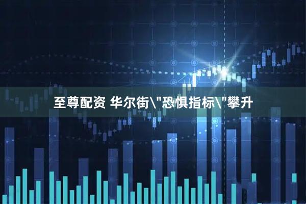 至尊配资 华尔街＂恐惧指标＂攀升