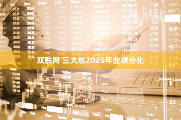 双融网 三大航2025年业绩分化