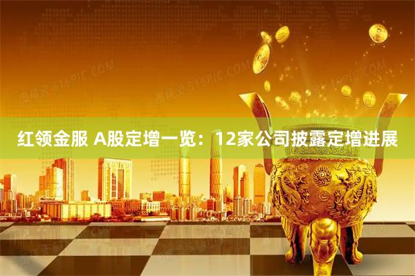 红领金服 A股定增一览：12家公司披露定增进展