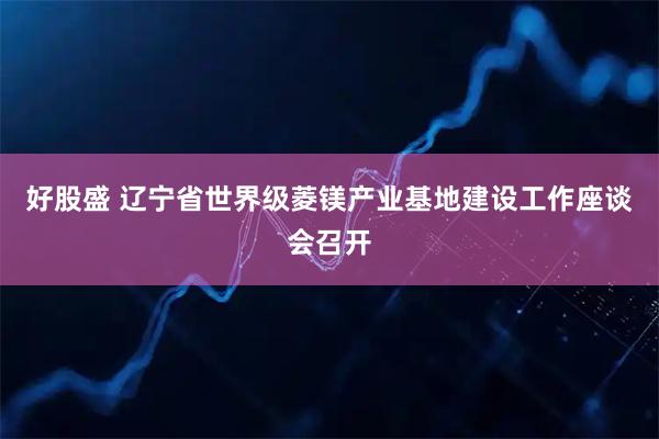 好股盛 辽宁省世界级菱镁产业基地建设工作座谈会召开