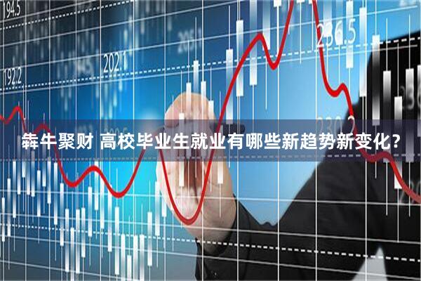 犇牛聚财 高校毕业生就业有哪些新趋势新变化？