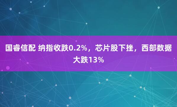 国睿信配 纳指收跌0.2%，芯片股下挫，西部数据大跌13%
