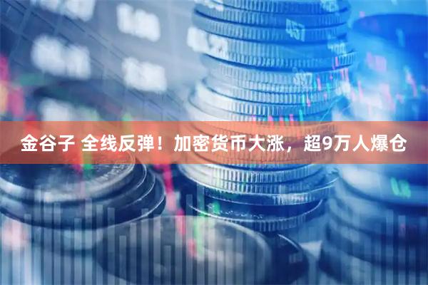 金谷子 全线反弹！加密货币大涨，超9万人爆仓