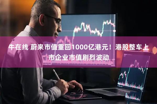 牛在线 蔚来市值重回1000亿港元！港股整车上市企业市值剧烈波动