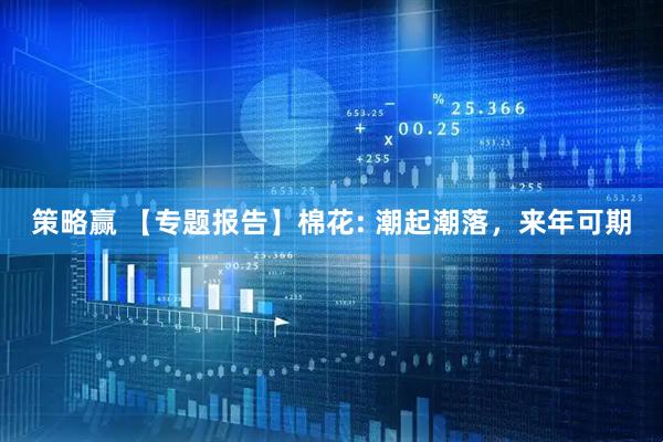 策略赢 【专题报告】棉花: 潮起潮落，来年可期