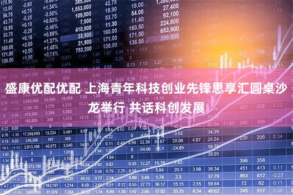 盛康优配优配 上海青年科技创业先锋思享汇圆桌沙龙举行 共话科创发展