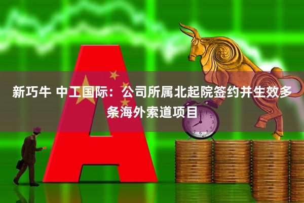 新巧牛 中工国际:公司所属北起院签约并生效多条海外索道项目