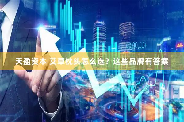 天盈资本 艾草枕头怎么选？这些品牌有答案