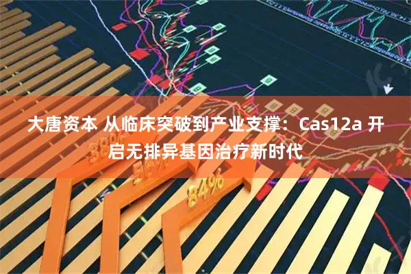 大唐资本 从临床突破到产业支撑：Cas12a 开启无排异基因治疗新时代