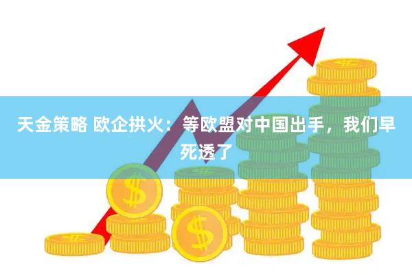 天金策略 欧企拱火：等欧盟对中国出手，我们早死透了