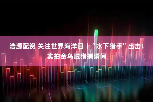 浩源配资 关注世界海洋日｜“水下猎手”出击！实拍金乌贼猎捕瞬间