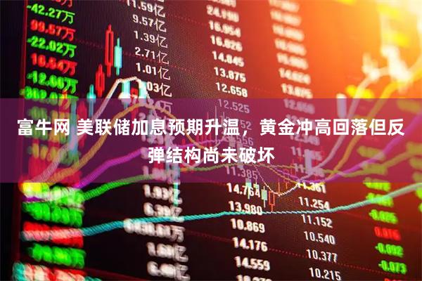 富牛网 美联储加息预期升温，黄金冲高回落但反弹结构尚未破坏