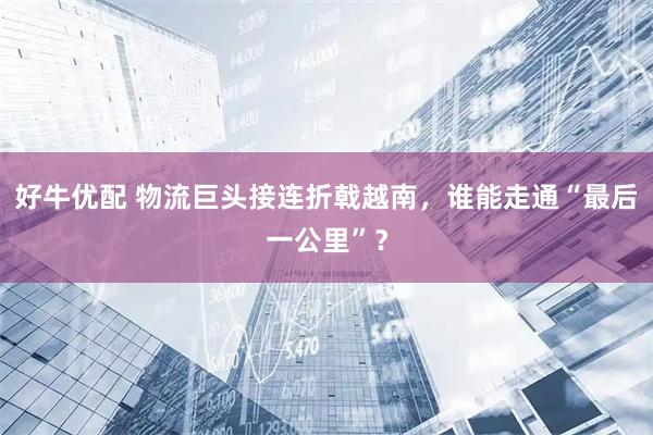 好牛优配 物流巨头接连折戟越南，谁能走通“最后一公里”？